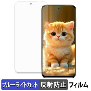 �y�|�C���g2�{�z OUKITEL C68 Plus ( ���C���f�B�X�v���C ) �ی�t�B���� �u���[���C�g�J�b�g �t�B���� �y �ȖʑΉ� ���˒ጸ �z �L�Y�C�� ���{��