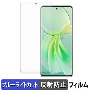 �y�|�C���g2�{�z vivo Y100 ������ �ی�t�B���� �u���[���C�g�J�b�g �t�B���� �y �ȖʑΉ� ���˒ጸ �z �L�Y�C�� ���{��