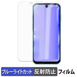 SOYES XS19 Pro �ی�t�B���� �u���[���C�g�J�b�g �t�B���� �y �ȖʑΉ� ���˒ጸ �z �L�Y�C�� ���{��