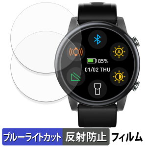 SILLAID GW20 (2���Z�b�g) �p �ی�t�B���� �u���[���C�g�J�b�g �t�B���� �y �ȖʑΉ� ���˒ጸ �z �L�Y�C�� ���{��