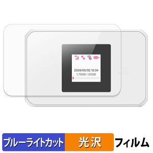�y�|�C���g2�{�z �y�V Rakuten WiFi Pocket 5G �ی�t�B���� �y �ȖʑΉ� ����d�l �z �u���[���C�g�J�b�g�t�B���� �L�Y�C�� ���{��