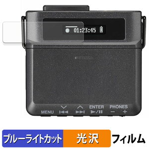 y|Cg2{z TASCAM DR-10L Pro s}CNR[_[ یtB u[CgJbg tB y ȖʑΉ dl z LYC {