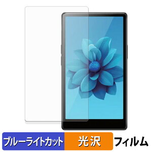�y�|�C���g2�{�z AGPTEK T09U ( �\�ʗp ) �ی�t�B���� �u���[���C�g�J�b�g �t�B���� �y �ȖʑΉ� ����d�l �z �L�Y�C�� ���{��