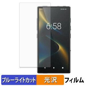 FiiO M33 R2R �ی�t�B���� �u���[���C�g�J�b�g �t�B���� �y �ȖʑΉ� ����d�l �z �L�Y�C�� ���{��