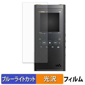 SONY �E�H�[�N�}�� NW-ZX300 �V���[�Y �ی�t�B���� �u���[���C�g�J�b�g �t�B���� �y �ȖʑΉ� ����d�l �z �L�Y�C�� ���{��