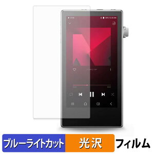�y���������}���\���|�C���g2�{�z Astell&Kern PD5 �ی�t�B���� �u���[���C�g�J�b�g �t�B���� �y �ȖʑΉ� ����d�l �z �L�Y�C�� ���{��