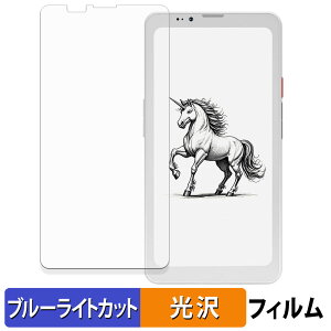 �y�|�C���g2�{�z Bigme HiBreak Pro �ی�t�B���� �u���[���C�g�J�b�g �t�B���� �y �ȖʑΉ� ����d�l �z �L�Y�C�� ���{��