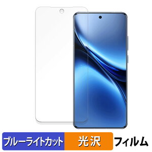 vivo X200 Pro �ی�t�B���� �u���[���C�g�J�b�g �t�B���� �y �ȖʑΉ� ����d�l �z �L�Y�C�� ���{��