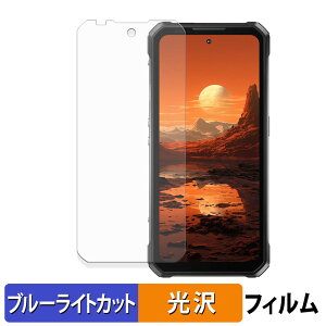 �y�|�C���g2�{�z OUKITEL WP100 �ی�t�B���� �u���[���C�g�J�b�g �t�B���� �y �ȖʑΉ� ����d�l �z �L�Y�C�� ���{��