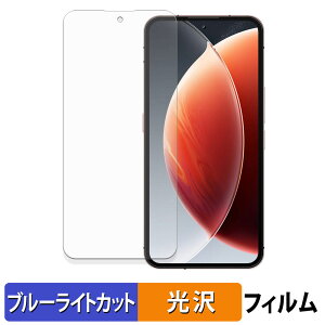 OUKITEL WP210 �ی�t�B���� �u���[���C�g�J�b�g �t�B���� �y �ȖʑΉ� ����d�l �z �L�Y�C�� ���{��