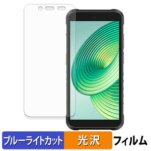 Ulefone RugKing �ی�t�B���� �u���[���C�g�J�b�g �t�B���� �y �ȖʑΉ� ����d�l �z �L�Y�C�� ���{��