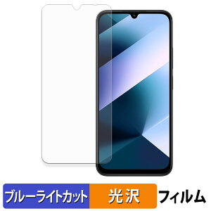 �y�|�C���g2�{�z Xiaomi POCO C85 �ی�t�B���� �u���[���C�g�J�b�g �t�B���� �y �ȖʑΉ� ����d�l �z �L�Y�C�� ���{��