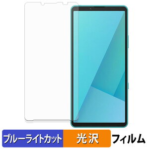 【ポイント2倍】 SONY Xperia 10 VII 保護フィルム ブルーライトカット フィルム 【 曲面対応 光沢仕様 】 キズ修復 日本製