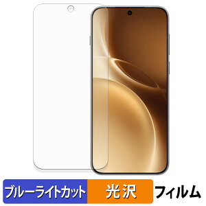 �y�|�C���g2�{�z vivo X300 Pro �ی�t�B���� �u���[���C�g�J�b�g �t�B���� �y �ȖʑΉ� ����d�l �z �L�Y�C�� ���{��