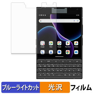 �y�|�C���g2�{�z Unihertz Titan 2 ( ���C���f�B�X�v���C�p ) �ی�t�B���� �u���[���C�g�J�b�g �t�B���� �y �ȖʑΉ� ����d�l �z �L�Y�C�� ���{��