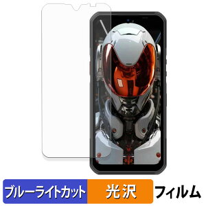 �y�|�C���g2�{�z OUKITEL WP62 5G �ی�t�B���� �u���[���C�g�J�b�g �t�B���� �y �ȖʑΉ� ����d�l �z �L�Y�C�� ���{��