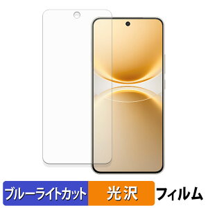 vivo Y500 Pro �ی�t�B���� �u���[���C�g�J�b�g �t�B���� �y �ȖʑΉ� ����d�l �z �L�Y�C�� ���{��