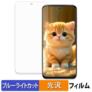 OUKITEL C68 Plus ( ���C���f�B�X�v���C ) �ی�t�B���� �u���[���C�g�J�b�g �t�B���� �y �ȖʑΉ� ����d�l �z �L�Y�C�� ���{��