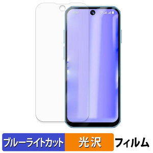 SOYES XS19 Pro �ی�t�B���� �u���[���C�g�J�b�g �t�B���� �y �ȖʑΉ� ����d�l �z �L�Y�C�� ���{��