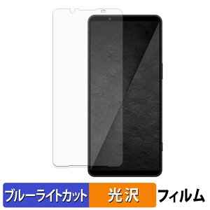 SONY Xperia 1 VIII �ی�t�B���� �u���[���C�g�J�b�g �t�B���� �y �ȖʑΉ� ����d�l �z �L�Y�C�� ���{��