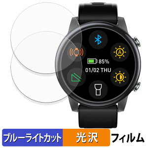 SILLAID GW20 (2���Z�b�g) �p �ی�t�B���� �u���[���C�g�J�b�g �t�B���� �y �ȖʑΉ� ����d�l �z �L�Y�C�� ���{��