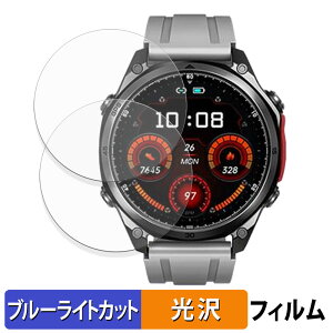 DOOGEE Anywise W1 / W1 Pro (2���Z�b�g) �p �ی�t�B���� �u���[���C�g�J�b�g �t�B���� �y �ȖʑΉ� ����d�l �z �L�Y�C�� ���{��