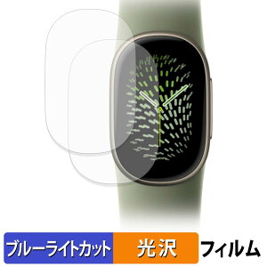 Google Fitbit Edge (2���Z�b�g) �p �ی�t�B���� �u���[���C�g�J�b�g �t�B���� �y �ȖʑΉ� ����d�l �z �L�Y�C�� ���{��