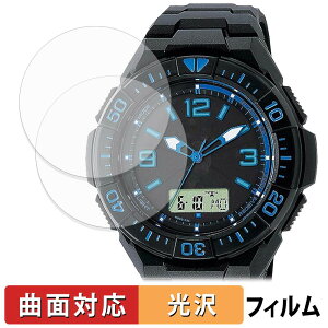 CITIZEN Q&Q SOLARMATE MD06�V���[�Y (2���Z�b�g) �p �ی�t�B���� �y �ȖʑΉ� ����d�l �z �L�Y�C�� ���{��