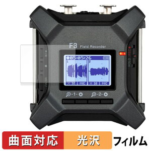 ZOOM F3 �t�B�[���h���R�[�_�[ �ی�t�B���� �y �ȖʑΉ� ����d�l �z �L�Y�C�� ���{��