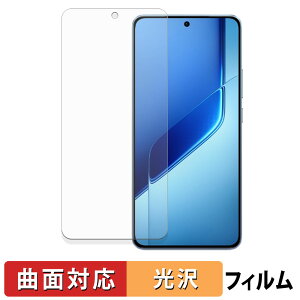 vivo iQOO Neo10 Pro+ �ی�t�B���� �y �ȖʑΉ� ����d�l �z �L�Y�C�� ���{��