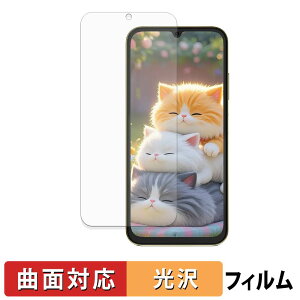 FOSSiBOT S7 ( ���C���f�B�X�v���C ) �ی�t�B���� �y �ȖʑΉ� ����d�l �z �L�Y�C�� ���{��