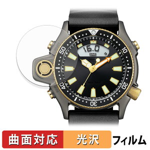 CITIZEN PROMASTER JP2008-06E (2Zbg) p یtB y ȖʑΉ dl z LYC {