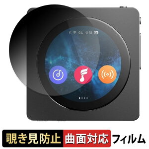 �y�|�C���g2�{�z FiiO Snowsky Disc �y 180�x �ȖʑΉ� �z �`�����h�~ �t�B���� �u���[���C�g�J�b�g �A���`�O���A ���{��