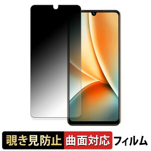 �y�|�C���g2�{�z vivo Y100 ������ �y180�x �ȖʑΉ��z �`�����h�~ �t�B���� �u���[���C�g�J�b�g �A���`�O���A ���{��