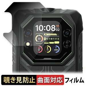 Blackview ROCK 1 ( �Z�J���h�f�B�X�v���C ) �y 180�x �ȖʑΉ� �z �`�����h�~ �t�B���� �u���[���C�g�J�b�g �A���`�O���A ���{��
