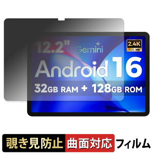 �y���������}���\���|�C���g2�{�z FPD CP12-J1 �y 180�x �ȖʑΉ� �z �`�����h�~ �t�B���� �u���[���C�g�J�b�g ����d�l ���{��