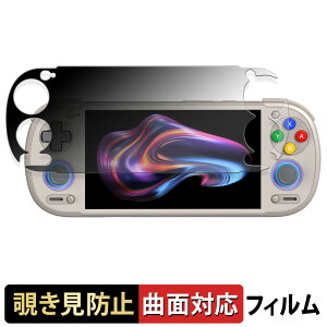 �y�|�C���g2�{�z RETROID pocket 6 ( D-Pad Top ���f�� ) �y 180�x �ȖʑΉ� �z �`�����h�~ �t�B���� �u���[���C�g�J�b�g ����d�l ���{��