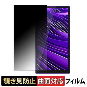 HiBy Music R6 Pro II / R6 Pro II 2025 �y 180�x �ȖʑΉ� �z �`�����h�~ �t�B���� �u���[���C�g�J�b�g ����d�l ���{��