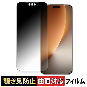 �y�|�C���g2�{�z Honor Magic8 Pro �y 180�x �ȖʑΉ� �z �`�����h�~ �t�B���� �u���[���C�g�J�b�g ����d�l ���{��