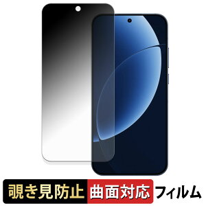 �y�|�C���g2�{�z realme GT8 Pro �y 180�x �ȖʑΉ� �z �`�����h�~ �t�B���� �u���[���C�g�J�b�g ����d�l ���{��