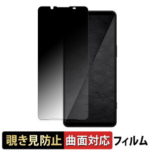 SONY Xperia 1 VIII �y 180�x �ȖʑΉ� �z �`�����h�~ �t�B���� �u���[���C�g�J�b�g ����d�l ���{��