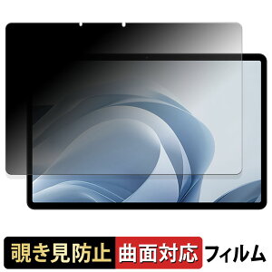 �y�|�C���g2�{�z OPPO Pad SE �y 180�x �ȖʑΉ� �z �`�����h�~ �t�B���� �u���[���C�g�J�b�g ����d�l ���{��