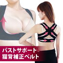 4冠獲得!＼レビュー1000件突破／猫背矯正ベルト バストアップ 猫背矯正 姿勢矯正ベルト ねこぜ矯正 人気 女性用 猫背 …