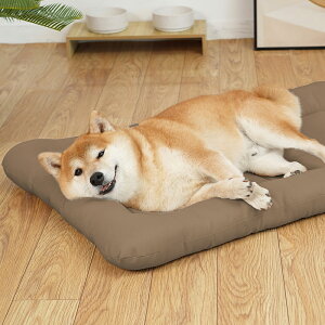 �y�S�i20��OFF�N�[�|���I12��27��2��59�܂ŁzEMME �� �N�b�V���� �j��ɂ��� �x�b�h �h�� ���^�� ���^�� ��^�� �L �􂦂� ���� �y�b�g�}�b�g �q�� �q�L ��v ���� �V�j�A �V�� ��� �ې� �Q�[�W