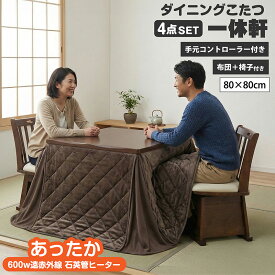 椅子付きこたつ 布団付き ダイニングこたつ4点セット 2人掛け 2人用 ハイタイプこたつ ダイニングテーブル 手元コントローラー 遠赤外線 石英管ヒーター 600w 正方形 人気 おしゃれ 炬燵 幅80cm 一休軒