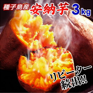 ܂ [  3kg ̂  qY [  ĂɂėⓀۑOKq lC ~cL ܁`  }\ Yn  Mtg XC[ĉ悤