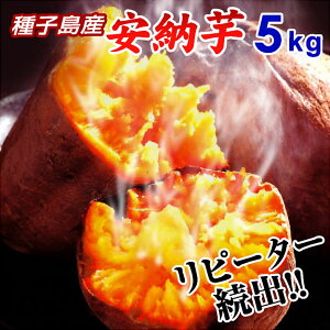 ܂ [  5kg ̂  qY [  ĂɂėⓀۑOK q lC ~cL ܁`  }\ Yn  Mtg XC[ĉ悤