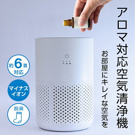 【送料無料】パーソナル空気清浄機 6畳 花粉 ウィルス 除菌対策 脱臭 マイナスイオン機能付き アロマ対応 コンパクトサイズ