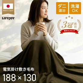 電気毛布 掛け敷き 日本製 両面 フランネル 掛け敷き兼用 188cm×130cm 洗える シングル ダニ退治 ACコンセント 電気掛け敷毛布 かけしき 掛け敷き兼用 しき毛布 省エネ JCBR803 ライフジョイ