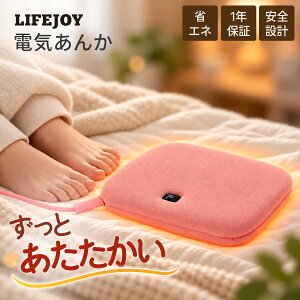 あんか アンカ 電気あんか 電気アンカ 平形 フットヒーター 足元暖房 行火 コンパクト 小型 16cm×23cm 電気